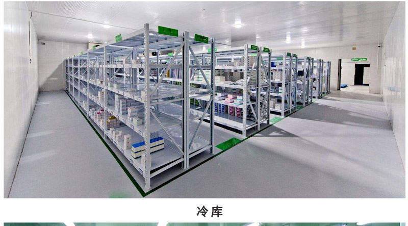 不銹鋼手動(dòng)托盤搬運(yùn)車2