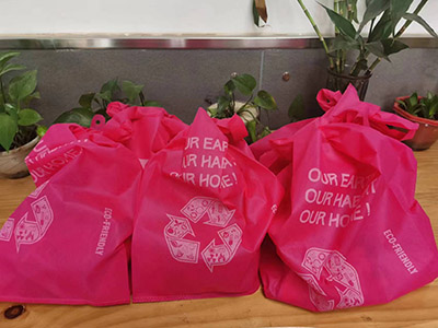 江蘇電動(dòng)叉車廠家